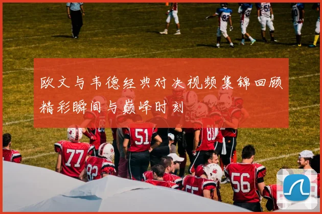 欧文与韦德经典对决视频集锦回顾精彩瞬间与巅峰时刻